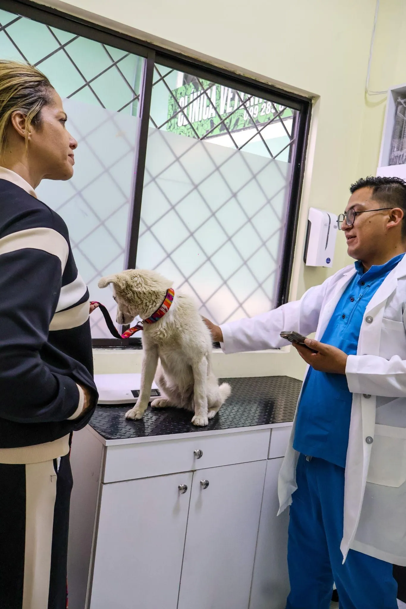 Veterinario de Quingvet atendiendo a un perro en consulta