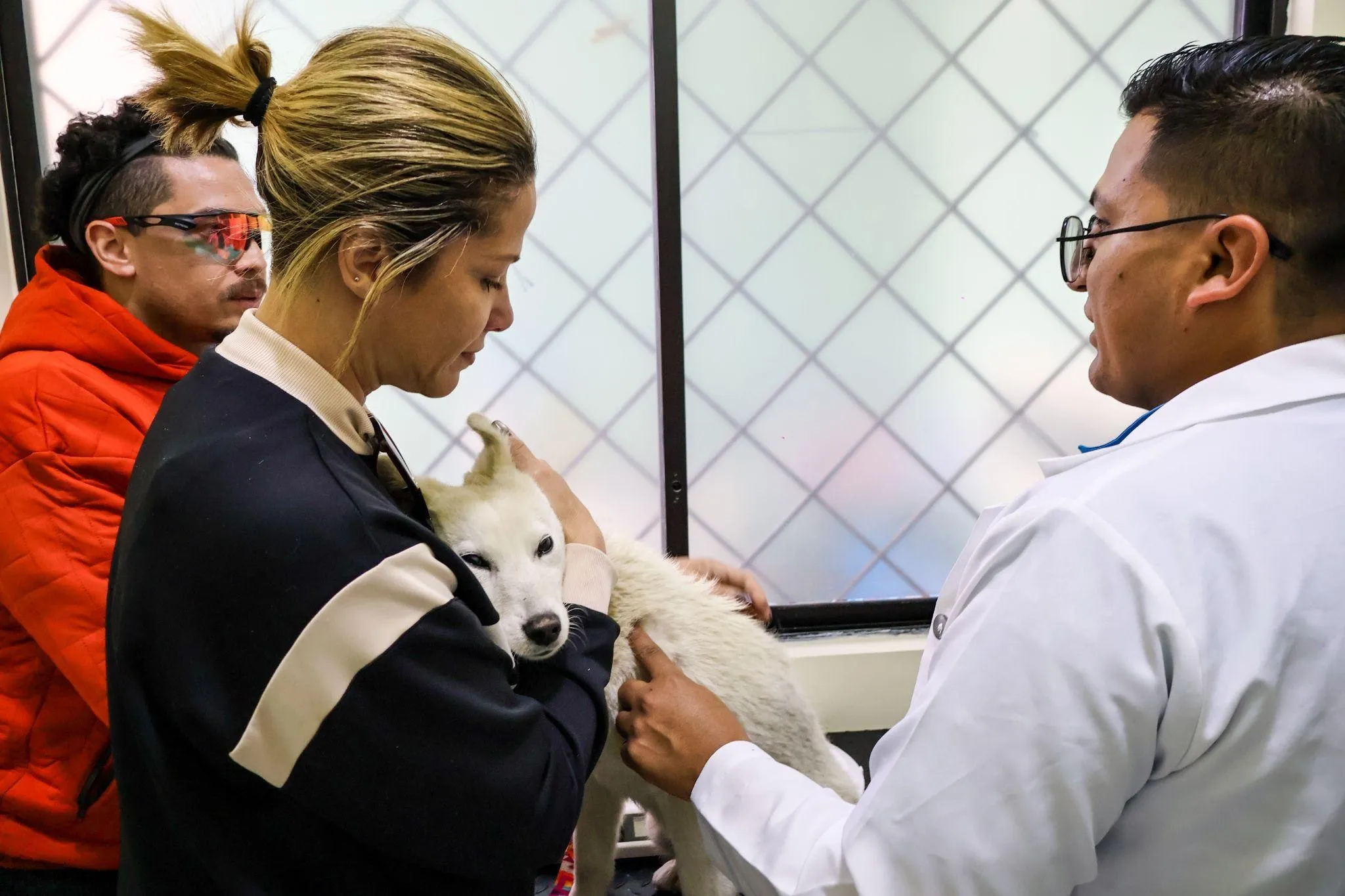 Consulta veterinaria con una familia y su perro